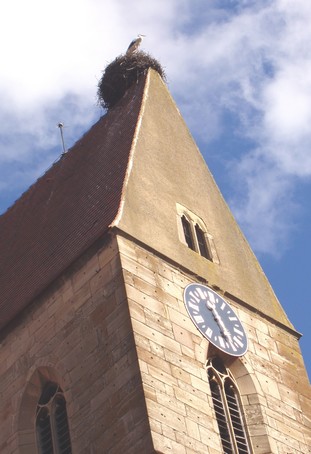 Cigogne sur l'église d'Eguisheim, un village d'alsace